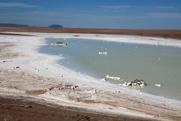 Salt lagoon at Guerrero Negro on Baja California , Mexico