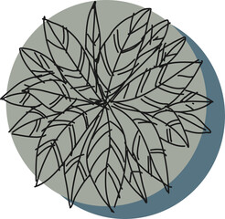 Tree plan hand drawn sketch icon top