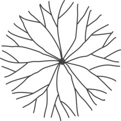 Tree plan hand drawn sketch icon top