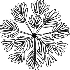 Tree plan hand drawn sketch icon top