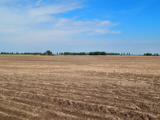 A plowed field and endless blue sky.