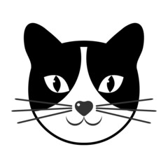 Illustration of a cute cat muzzle on a white background