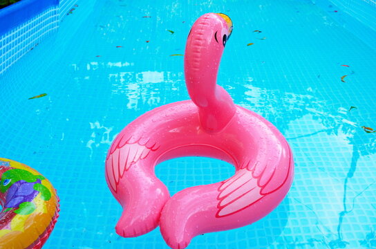 The inflatable circle. Pink Flamingo. Summer. Pool.