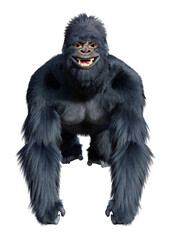 3D Rendering Black Gorilla Ape on White