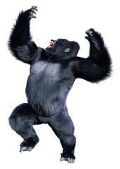 3D Rendering Black Gorilla Ape on White © photosvac