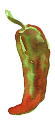 Watercolor painting of Hot red pepper, seasoning, food