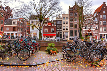 Rainy Amsterdam canal Herengracht with typical dutch houses and red cat, Holland, Netherlands.