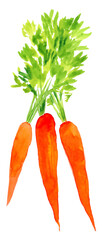 Carrot made of colorful splashes on white background.