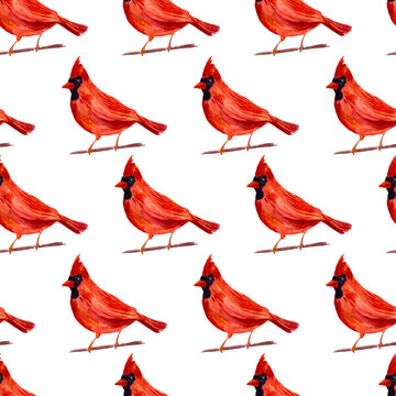 Watercolor seamless pattern with red cardinal birds on twigs