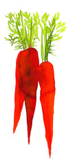 Carrot made of colorful splashes on white background.