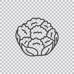 Cauliflower line icon. Vector isolated on transparent background.