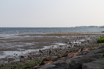 Rocky and Dry Shoreline of New Haven Harbor at Long Wharf Park in New Haven Connecticut - obrazy, fototapety, plakaty
