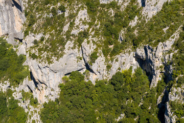 A forest on the slopes of the Gorges du Verdon in Europe, France, Provence Alpes Cote dAzur, in the...