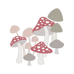 mushrooms