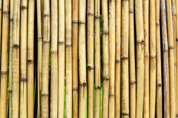 Old brown tone bamboo simple wall or Bamboo fence texture background for interior or exterior design vintage tone. Brown bamboo stick pattern backdrop. Local area urban house protection from thief.