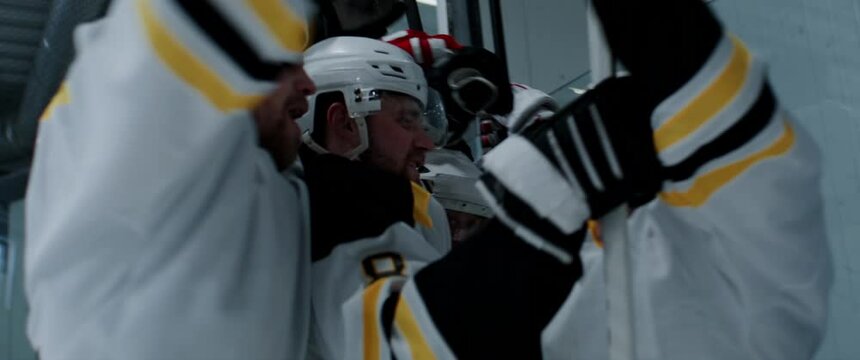 Teammates cheering a player after scoring a goal during ice hockey game. Shot with 2x anamorphic lens
