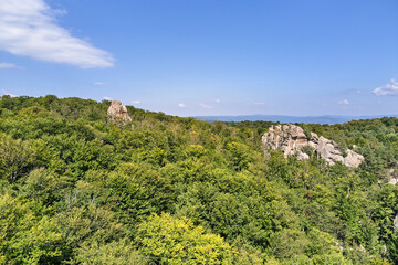Fototapeta na wymiar Aerial view of bright landscape with green forest trees and big rocky boulders between dense woods in summer. Beautiful scenery of wild woodland