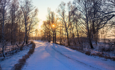 Winter Landscape with a road in the forest