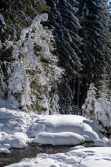 a beautiful winter landscape on the snow capped mountains with a mountain creek at a sunny december day