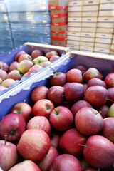 Faith, spirituality and religion. Protestant church.