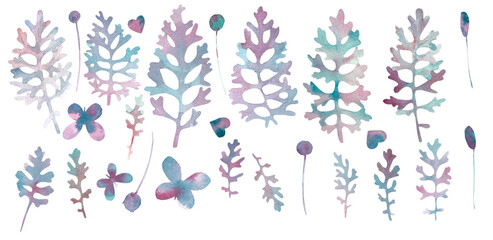 plant ceniraria. set of elements. blue and pink. composition kit