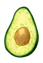 Drawing watercolor fruit avocado isolated on white background.