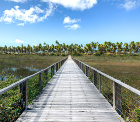 Obraz premium wooden bridge over the river