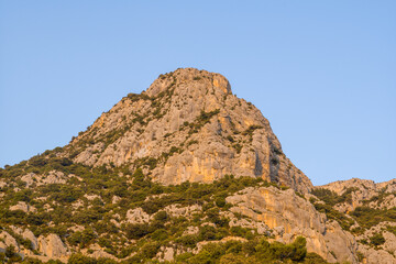 Fototapeta premium The top of a mountain above the Gorges du Verdon in Europe, France, Provence Alpes Cote dAzur, Var, in summer on a sunny day.