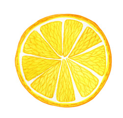 Slice of lemon, watercolor illustration vegetarian foods