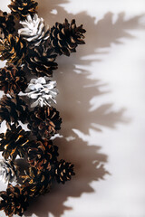 Pine cones on a light background with a shadow. Flat lay