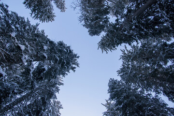Lake Carezza (Karersee) and Latemar Mountains - Dolomiti, Sud Tirol, Trentino Alto Adige, Italy 
