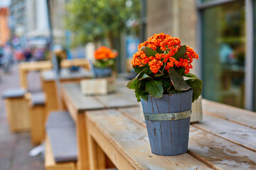 A bouquet of flowers in a decorative wooden vase outdoor table decoration