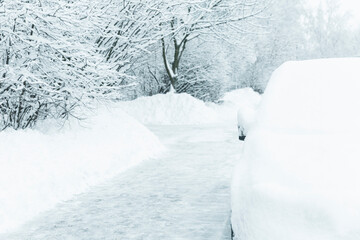 Fototapeta na wymiar Cars and trees under the snow. A beautiful winter fairy tale.