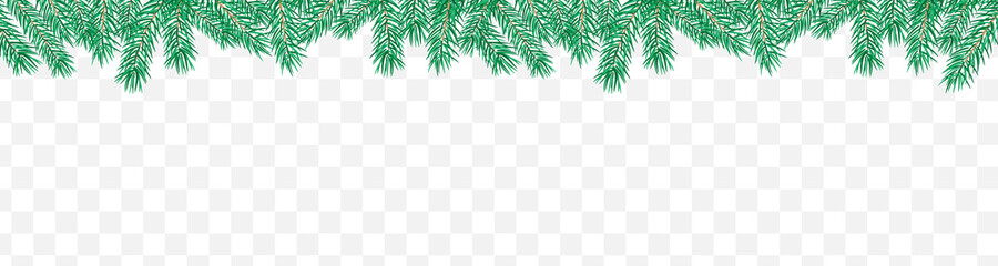 Pine branch border. Christmas banner horizontal. Vector isolated in flat style. © Sofi_art