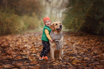 kid hug golden retriever dogs outdoors in autumn