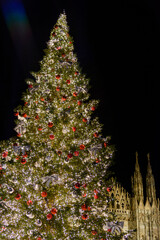Luci e alberi di Natale a Milano, Natale 2021