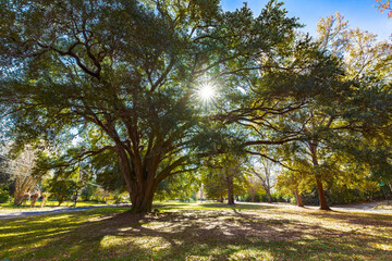 Cloverdale Park, Montgomery, Alabama