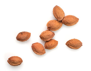 Plum kernels isolated on a white background