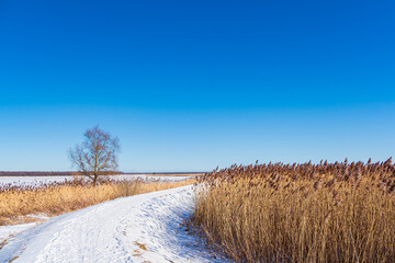 Bodden bei Ahrenshoop auf dem Fischland-Darß im Winter