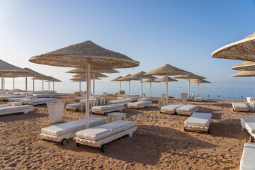 Luxury sand beach with beach chairs and white straw umbrellas in tropical resort in Red Sea coast in Egypt, Africa