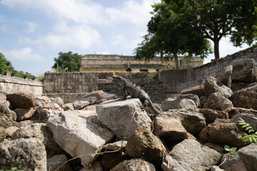 ruins of ancient theatre