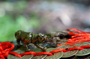 A metal tiger figurine and a bunch of Chinese coins on a tree branch.
