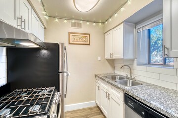 Small apartment kitchen 