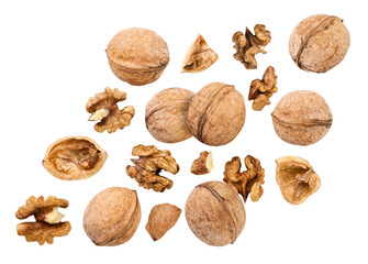 Walnut whole and chopped falls on a white background, cut. Isolated