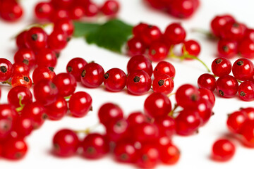 Ripe red currant berries on white, close-up, selective focus.