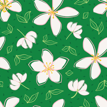 Jasmine floral vector seamless pattern background. Line art hand drawn flower heads, blossom, leaves, petals. Green white backdrop. Botanical repeat for medicinal healing plant. All over print