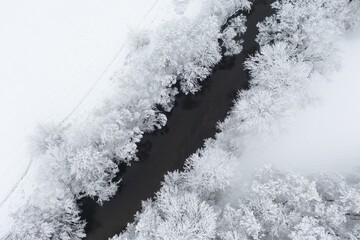 Aerial view of snowy trees and a little curvy winding stream. . Christmas, winter time, first snow