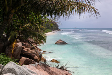 Typical Seychelles landscape. A palm tree hangs over a snow-white beach. In the distance, along the perfecet beach, large rocks half-sink into the turquoise water. Idylic paradise place.