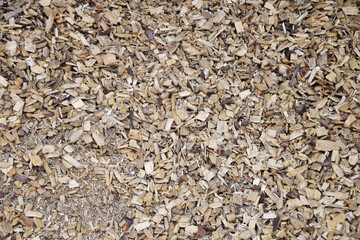 Sawdust wooden filling seamless background