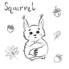 Children's character, cute squirrel, on the background there is a set of leaves, nuts and lettering.